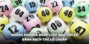 soi cầu bạch thủ lô